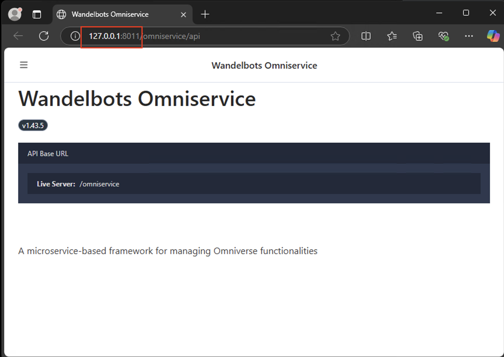 Omniservice URL with port number