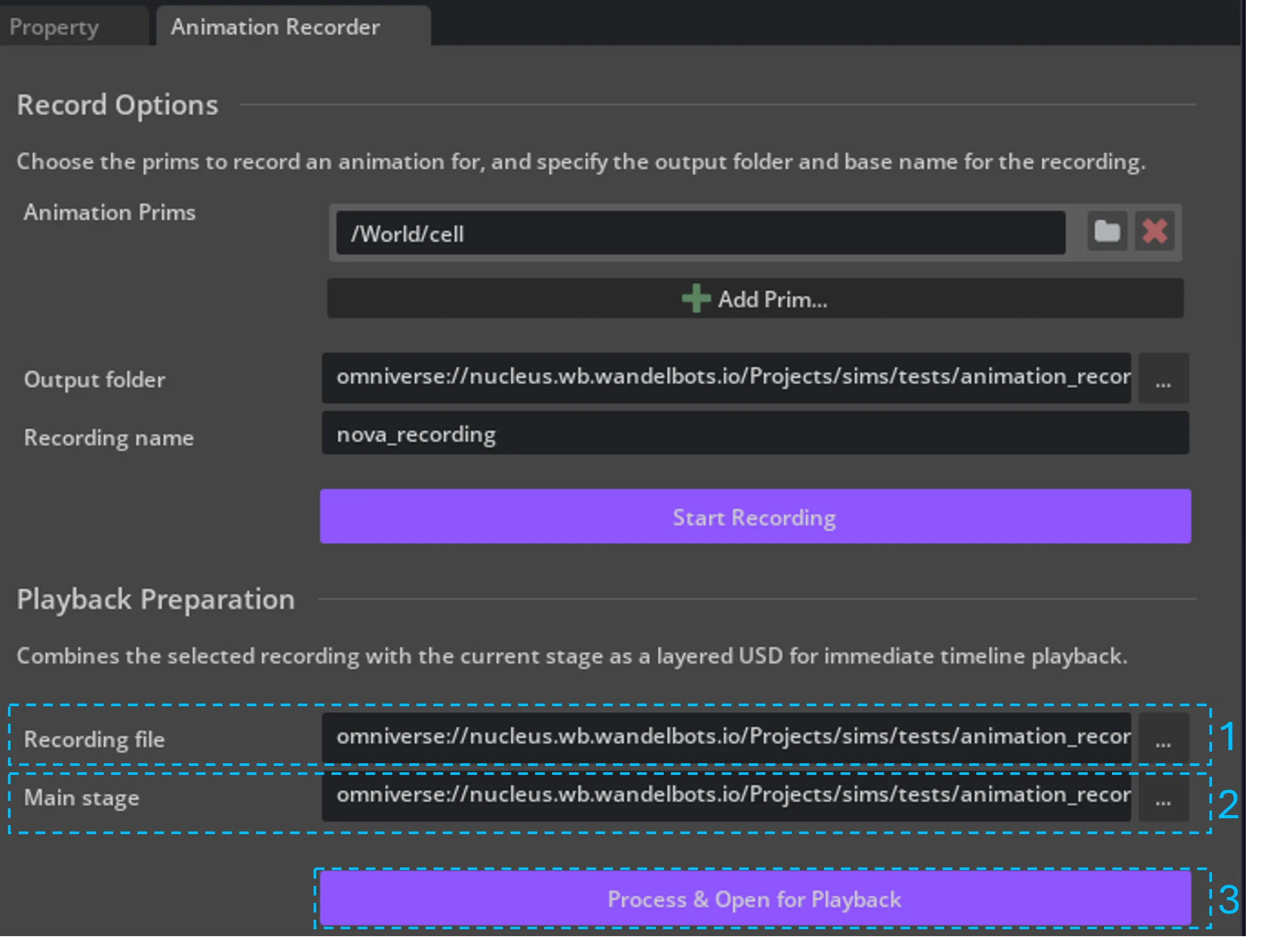 Playback preparation in the Animation Recorder