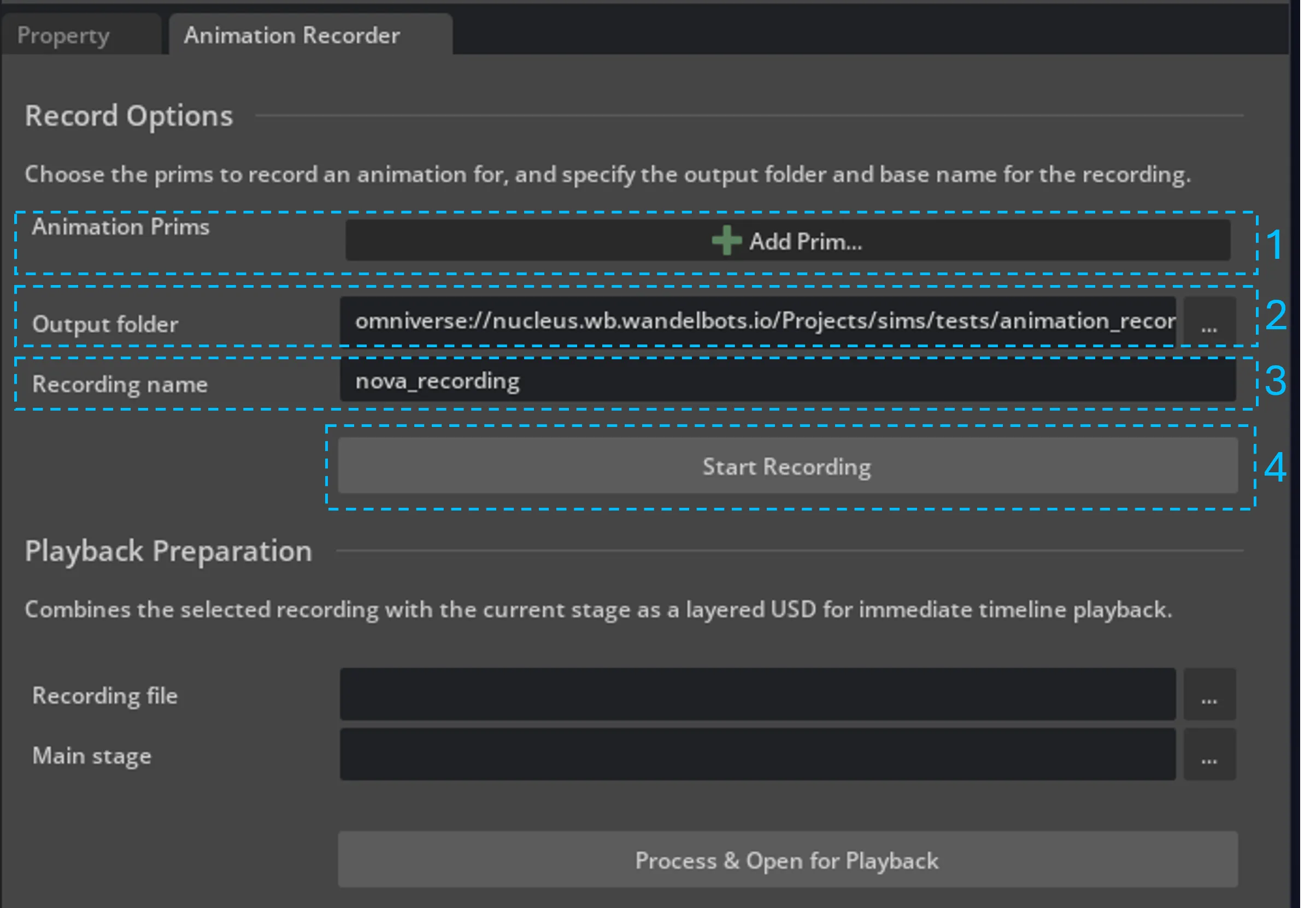 Recording options in the Animation Recorder